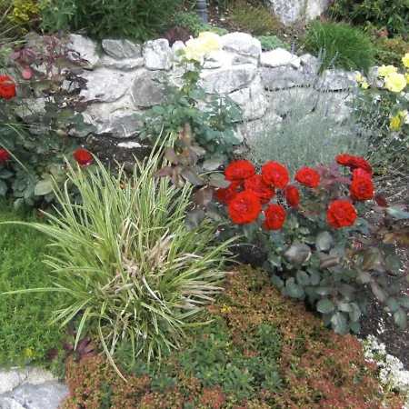 Am Rosengarten Διαμέρισμα