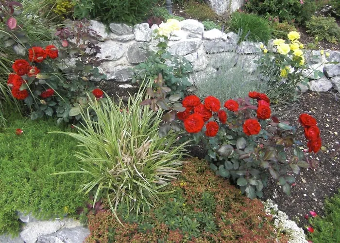 Am Rosengarten Appartamento